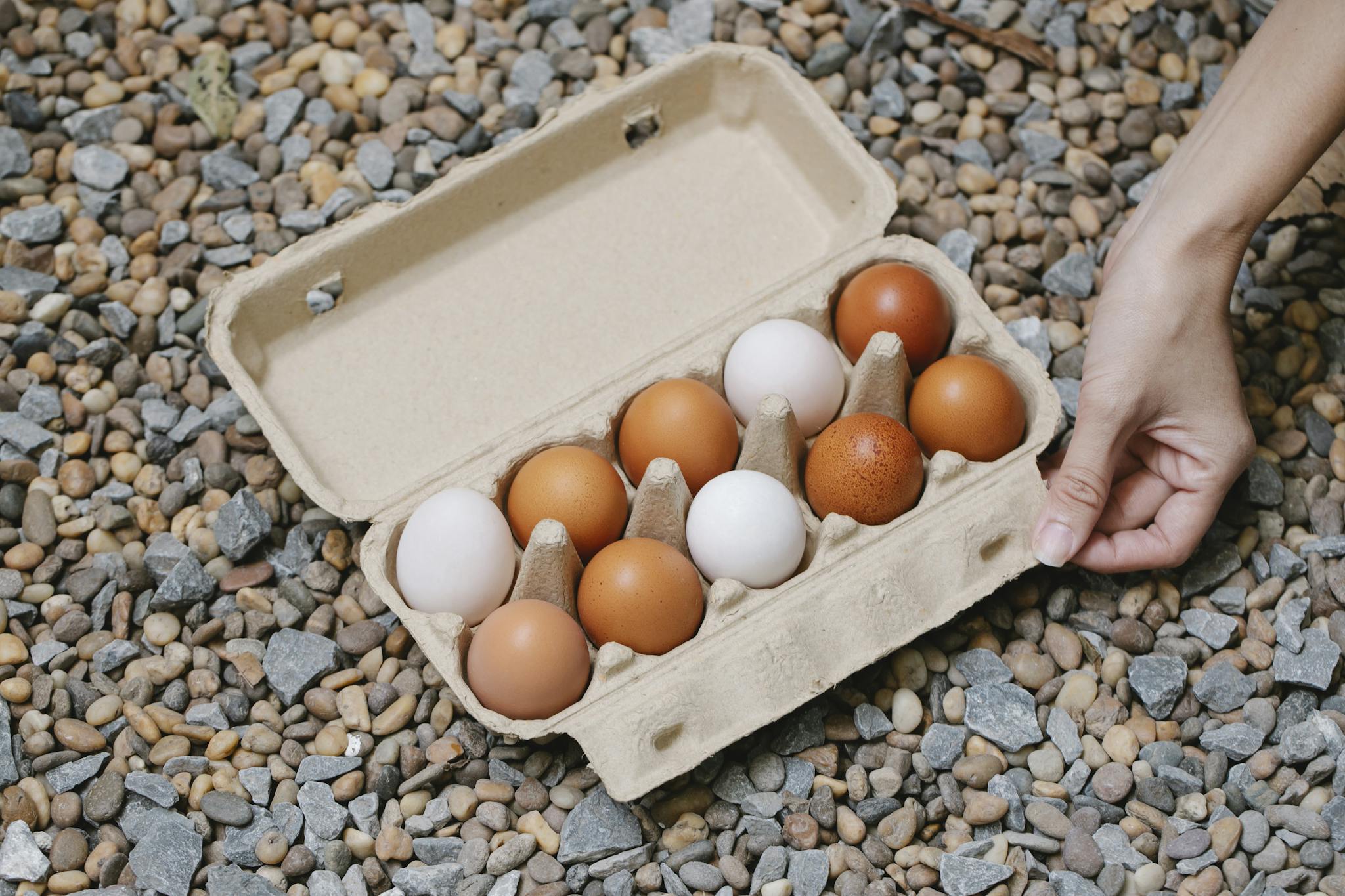 From above of crop anonymous female demonstrating fresh chicken eggs in carton box