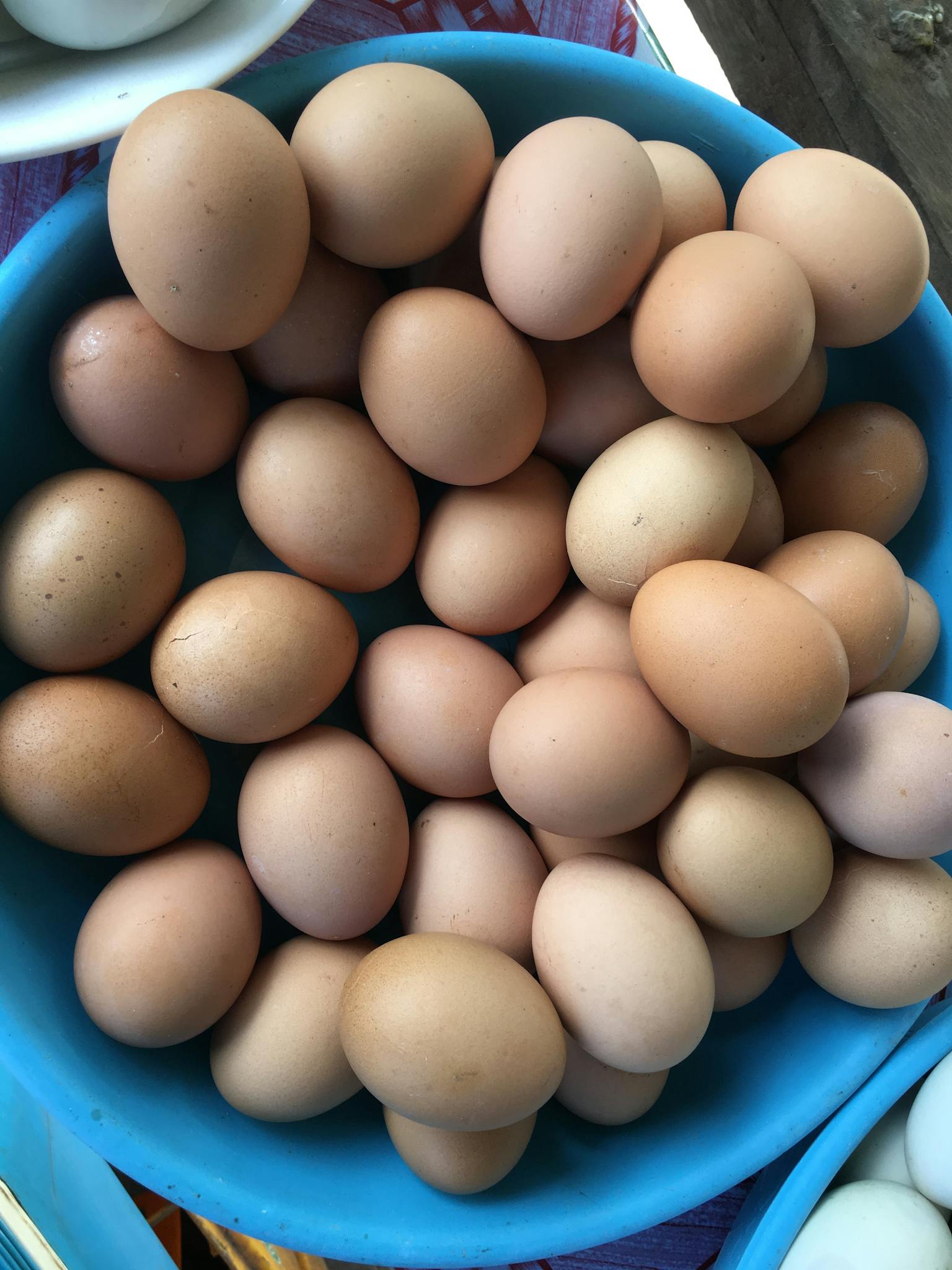 Top view of brown eggs piled in a blue bowl, showcasing fresh organic farm produce.